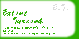 balint turcsak business card